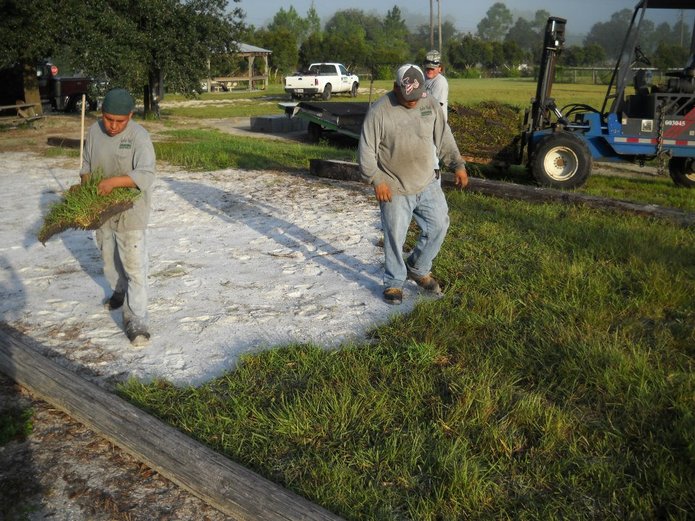 Meet the specialists in sod New Smyrna Beach FL counts on.